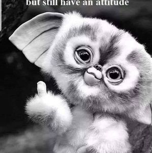 Meet your Posher, Andre